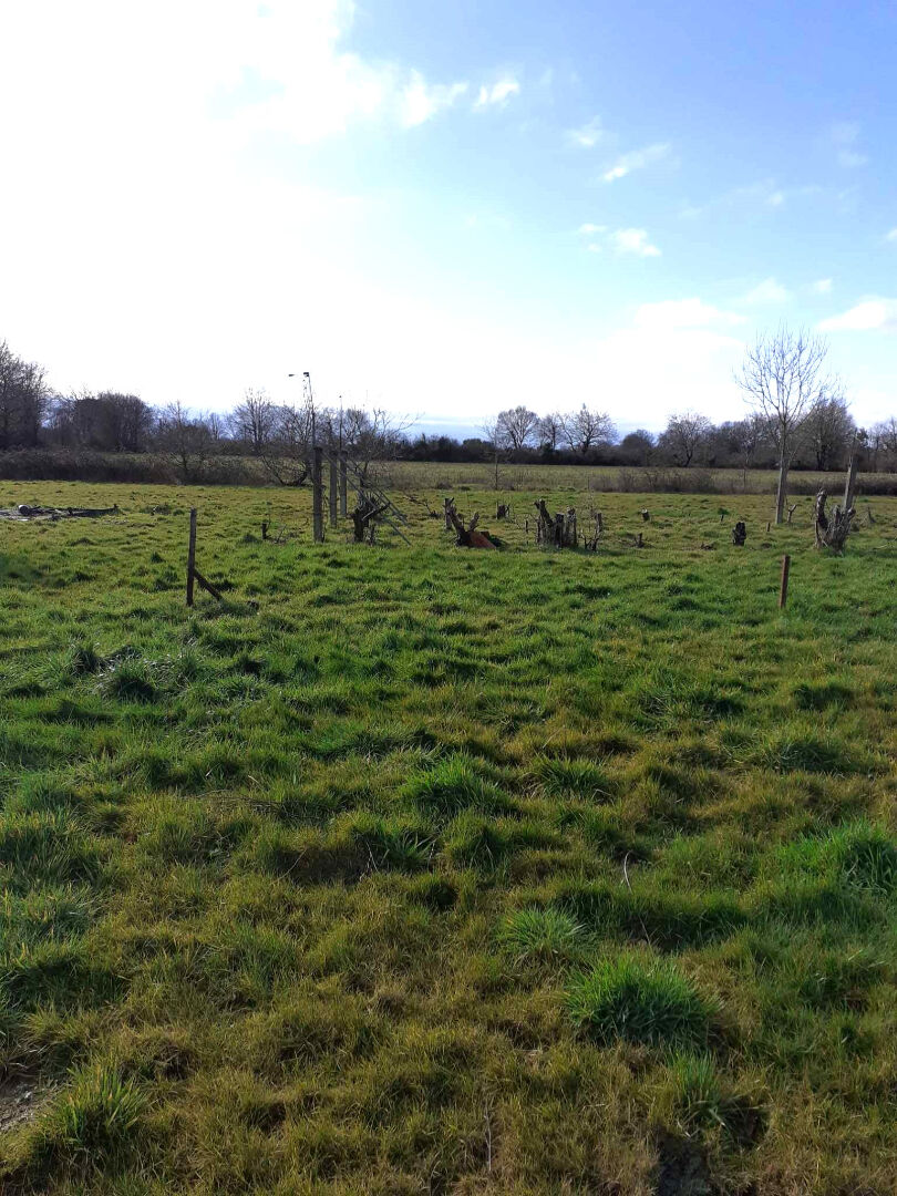 Photo Terrain constructible Talmont Saint Hilaire 414 m² (honoraires notaire offerts) image 2/2