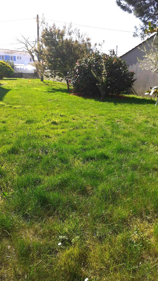 Photo Terrain Talmont Saint Hilaire 400 m² clos avec puits image 2/3