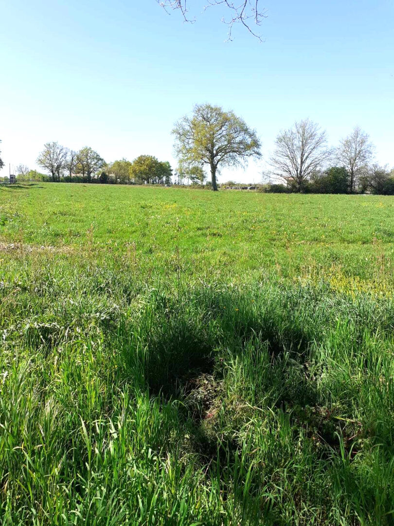 Photo Maison BOURNEZEAU  8 pièces 175m²- terrain 15502m² image 2/6