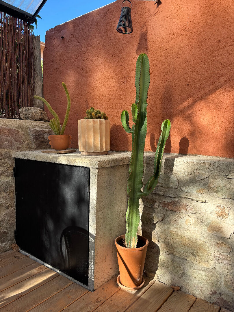 Photo A VENDRE SAINT-RAPHAËL magnifique grand studio de charme en rez de chaussée avec terrasse plein Sud, dressing et appentis pour rangement image 3/6