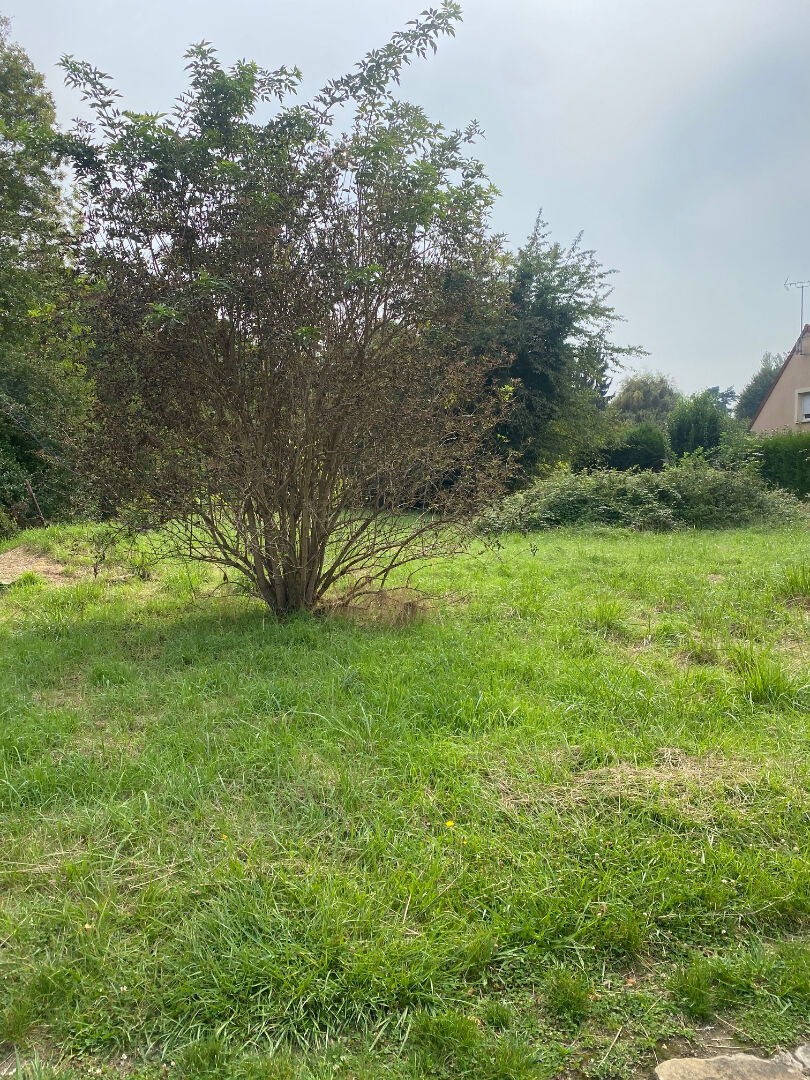 Photo Terrain Constructible -Secteur recherché image 2/2