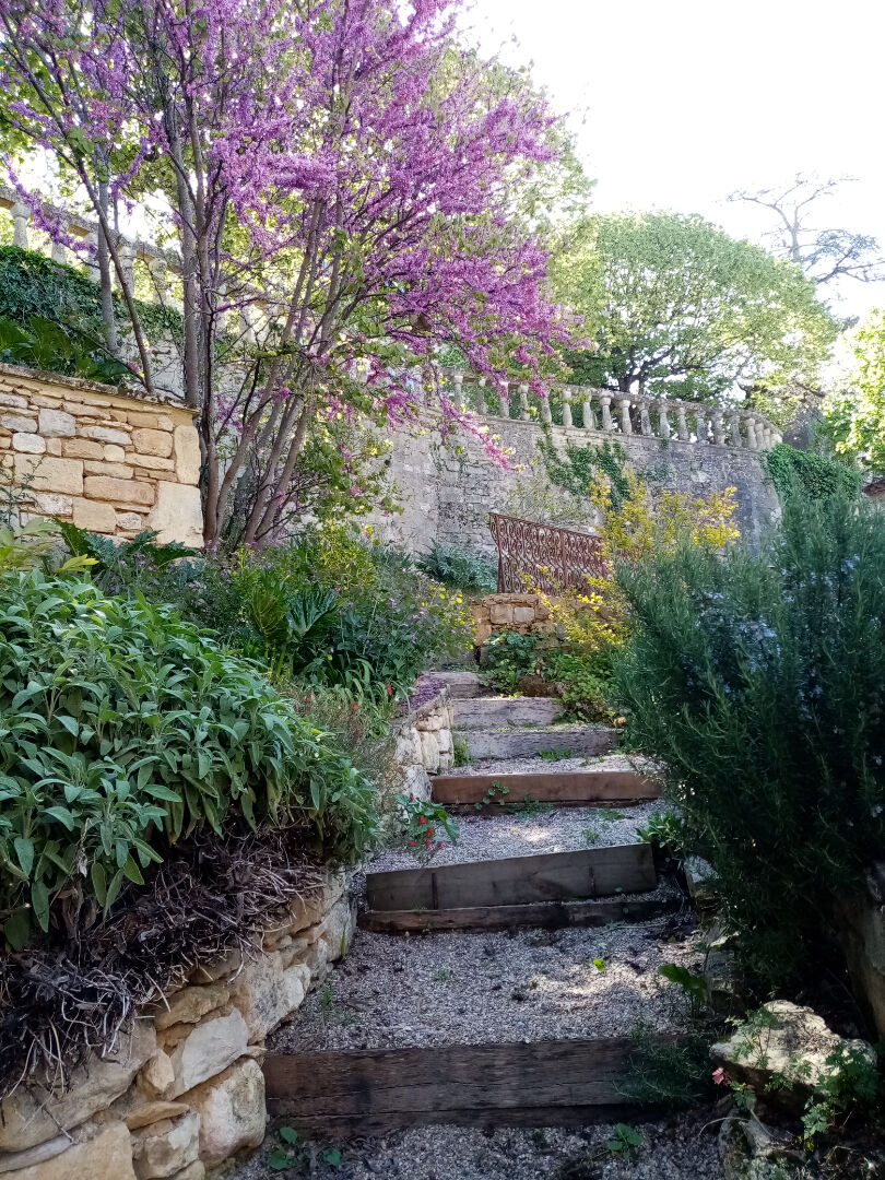 Photo Demeure de charme en pierre du 11ème siècle image 4/6