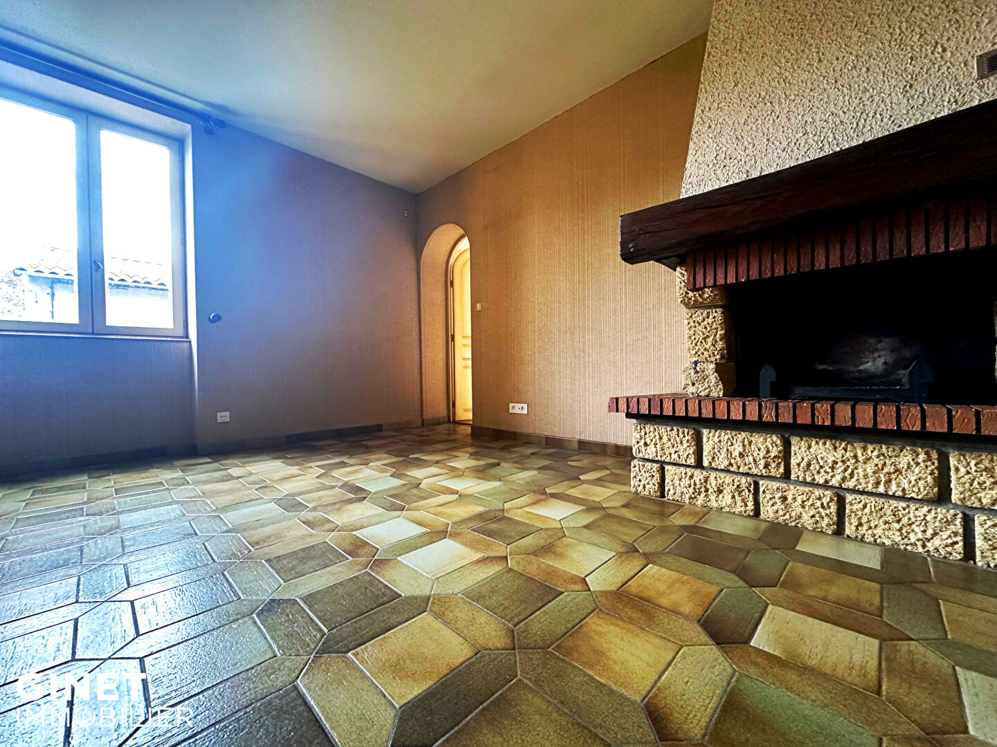 Photo Maison Briennon 7 pièce(s) 216.6 m2 image 3/6