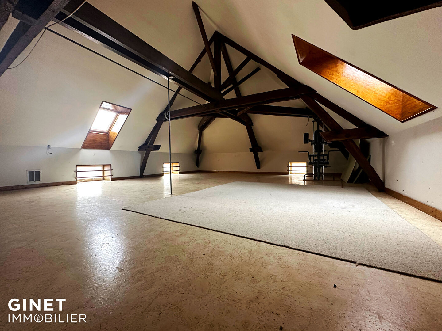 Photo Maison Briennon 7 pièce(s) 216.6 m2 image 5/6