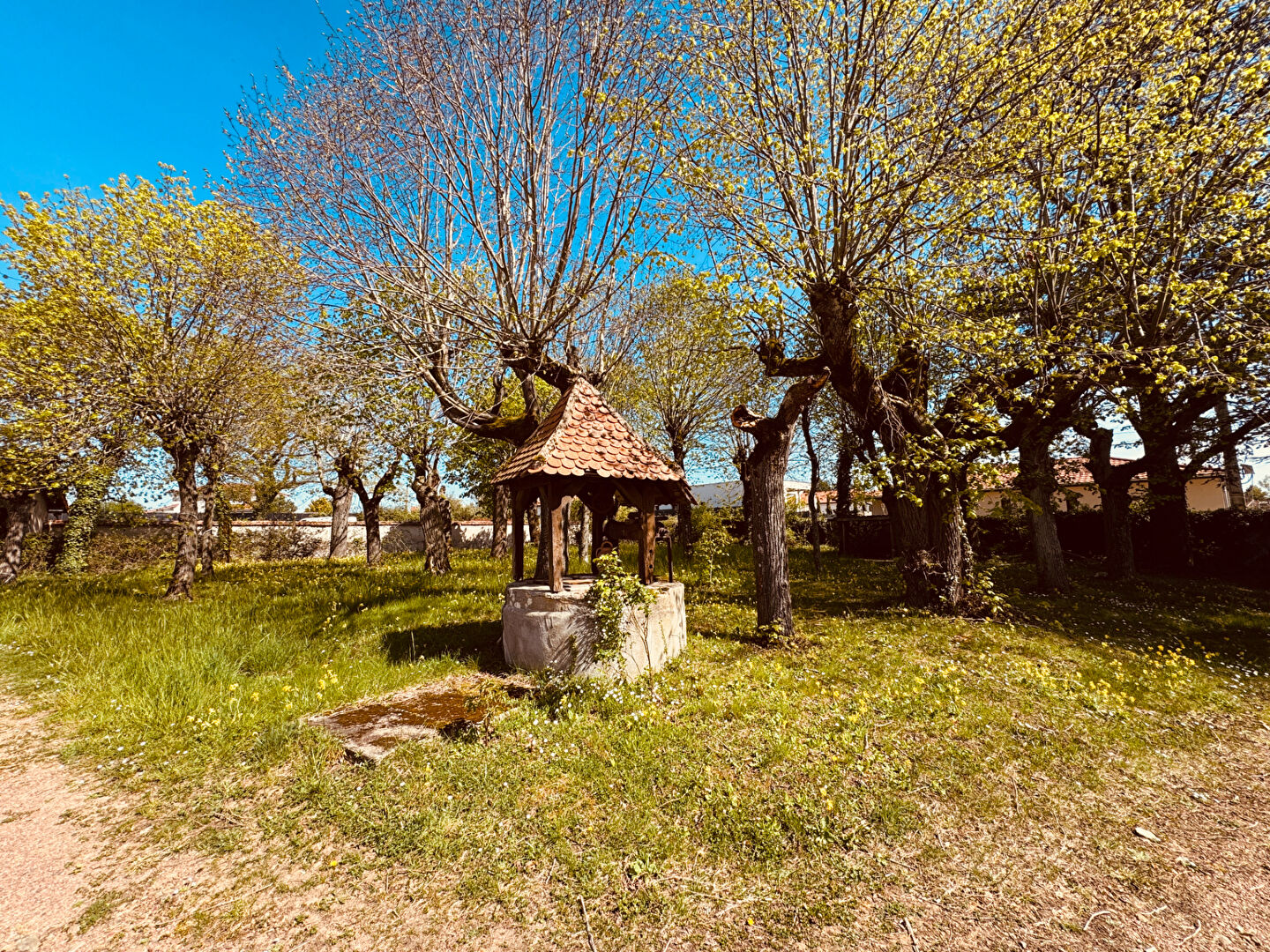 Photo Maison Perreux image 2/6