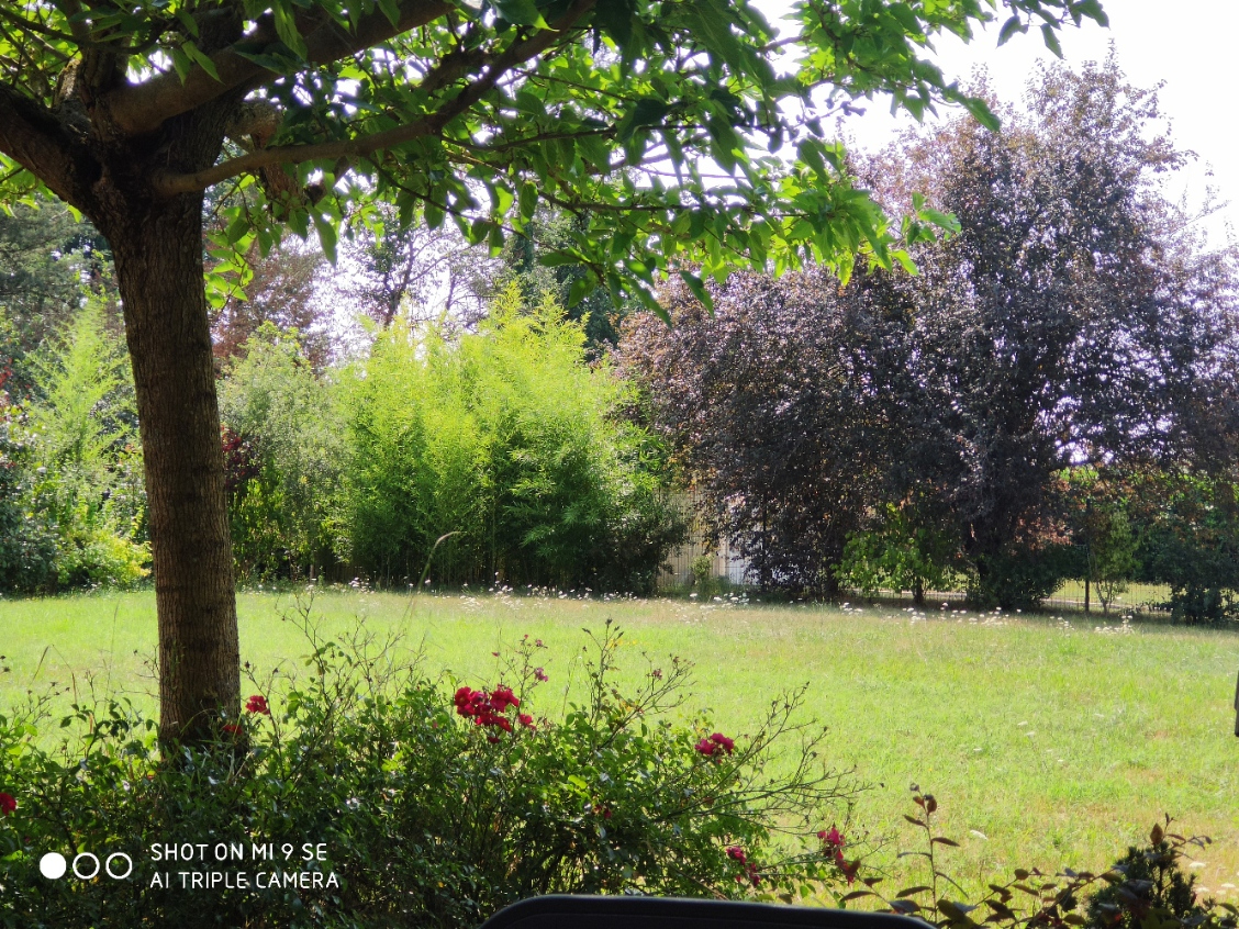 Photo Maison familiale de plain-pied - Mizérieux (42110) image 3/6