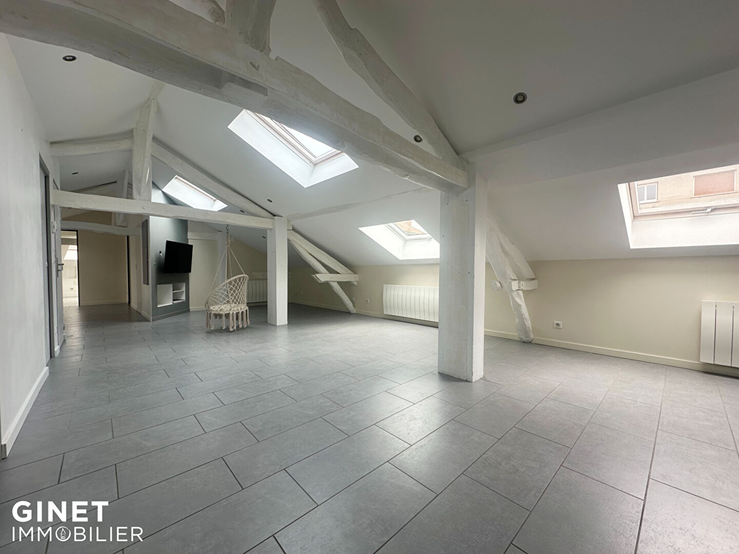 Photo Appartement Roanne 3 pièce(s) 120m2 image 1/6