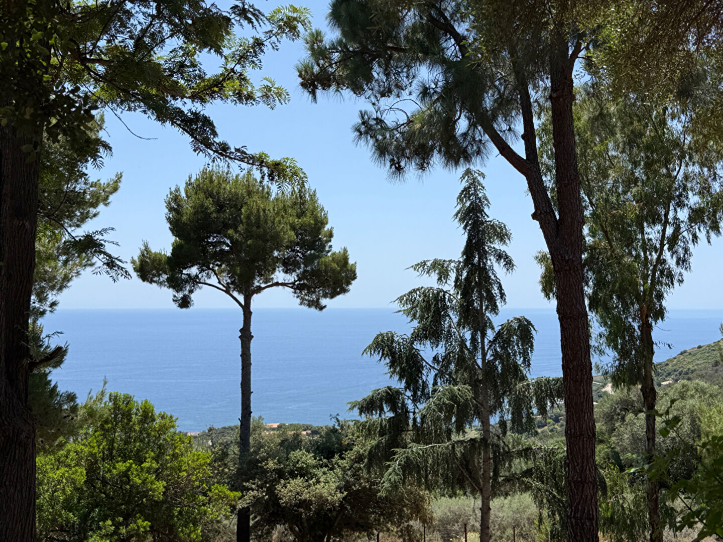 Agence immobilière de GNIMMO Lods Immobilier - GNI - LODS TRANSACTION