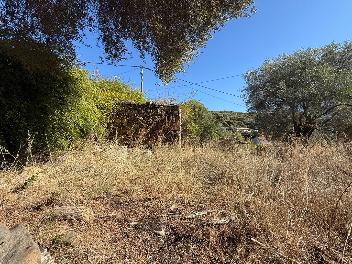 Agence immobilière de GNIMMO Lods Immobilier - GNI - LODS TRANSACTION