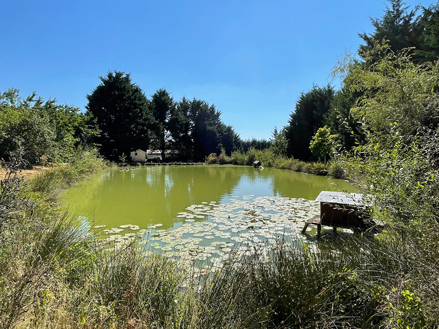 Photo Maison avec plan d'eau image 1/6