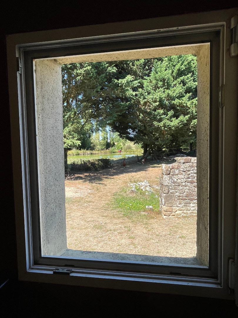 Photo Maison avec plan d'eau image 5/6