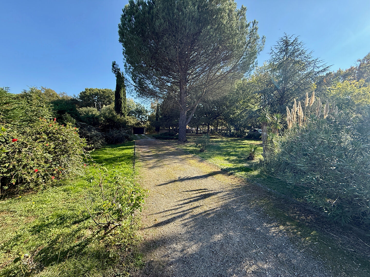 Photo MAURESSAC : Maison T5 avec garages sur terrain de 3443m2. image 4/6