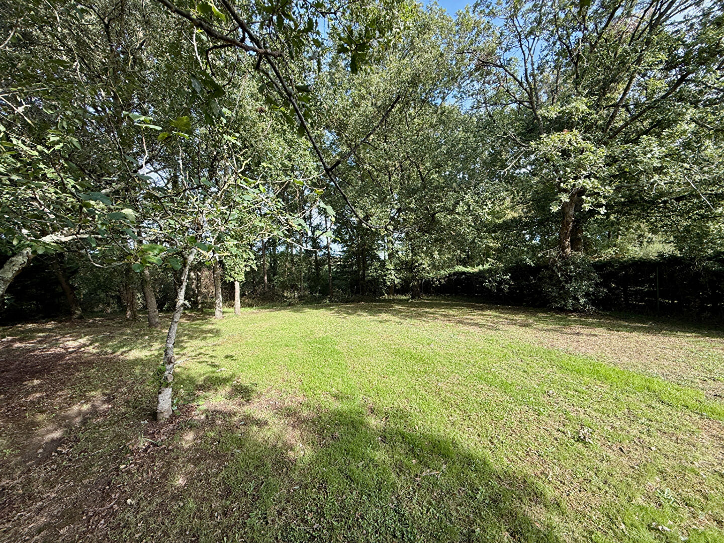 Photo MAURESSAC : Maison T5 avec garages sur terrain de 3443m2. image 5/6