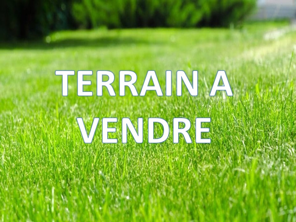 Agence immobilière de H2S Immobilier