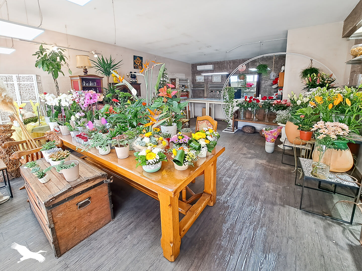 Agence immobilière de HUMAN Immobilier Marseille 11