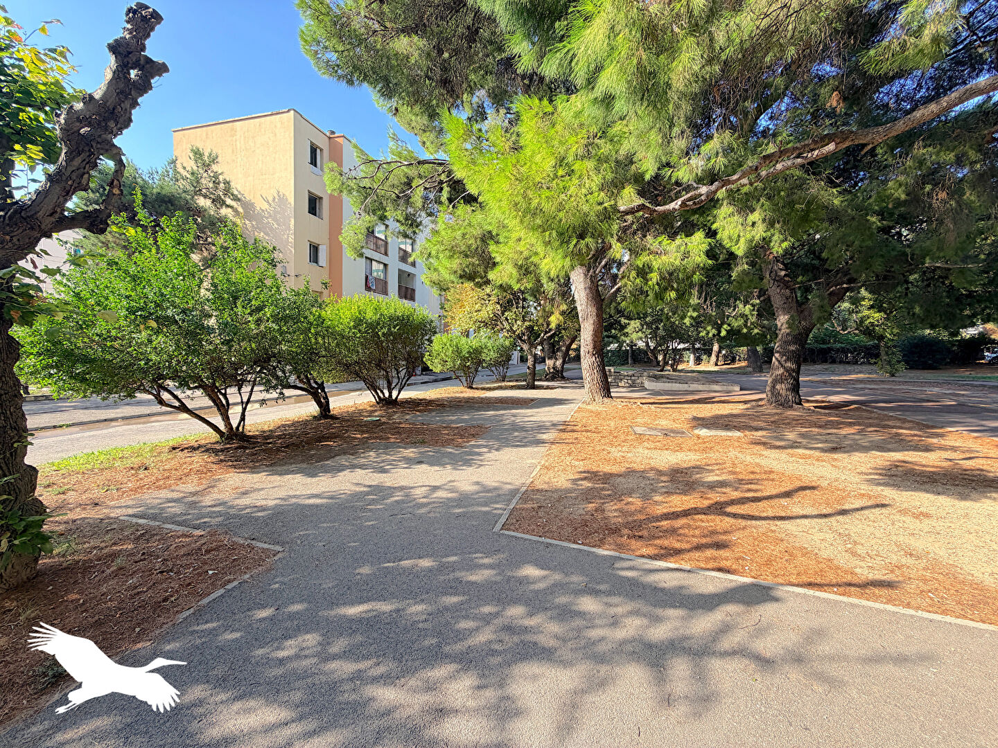 Agence immobilière de HUMAN Immobilier Marseille 9