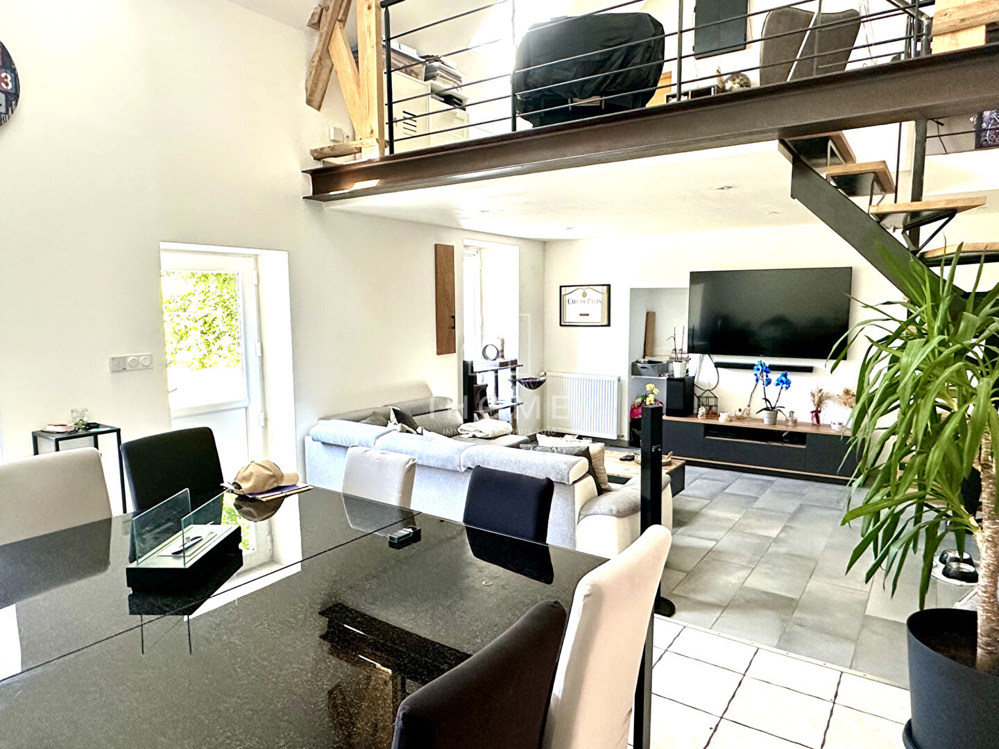 Photo BRAINS SUR GEE image 5/6