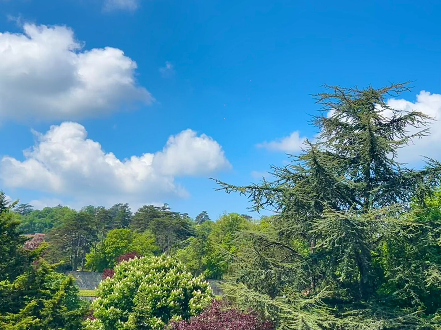 Photo RARE !  APPARTEMENT DE STANDING 60 m² AVEC TERRASSE DE 45 m² image 2/6