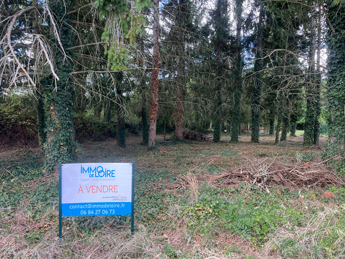 Agence immobilière de 
 IMMO DE LOIRE - Immo de Loire 
