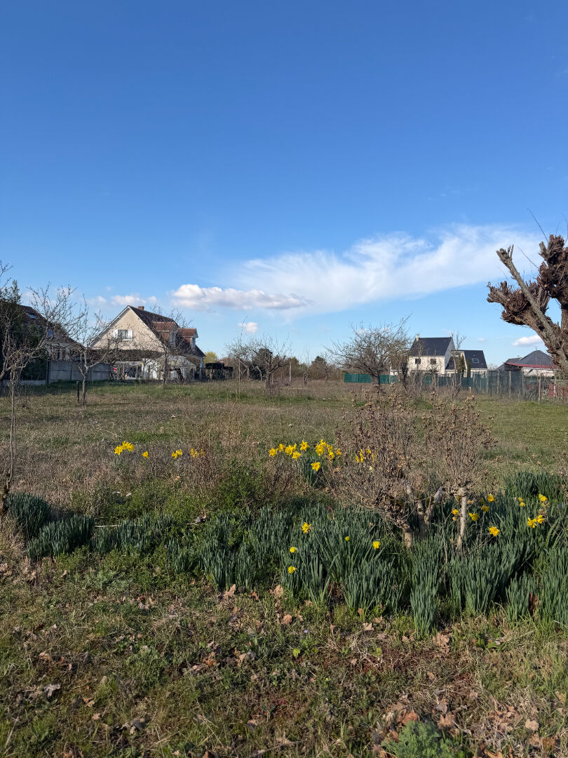 Agence immobilière de 
 IMMO DE LOIRE - Immo de Loire 
