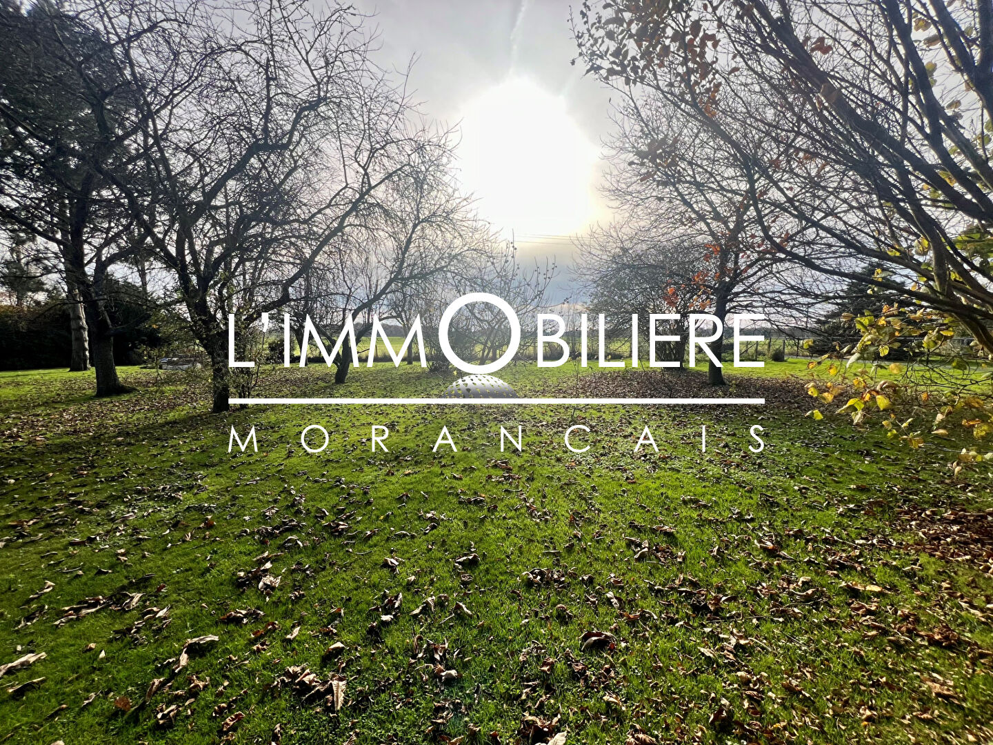 Terrain Isneauville 1200 m2