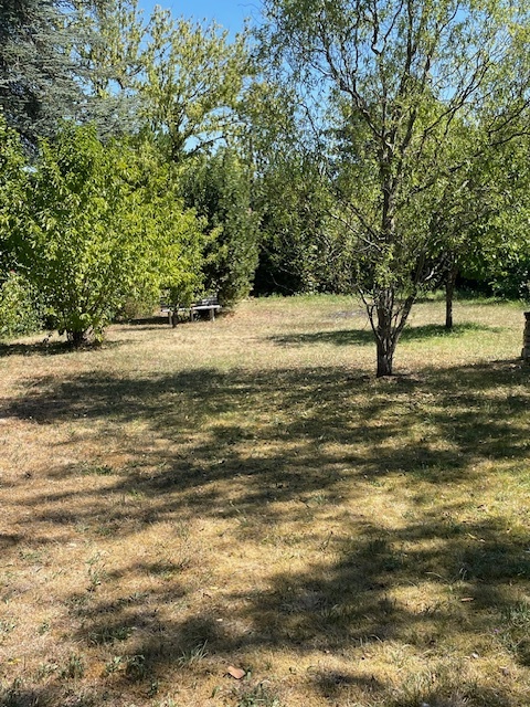 Photo Maison individuelle proche gare image 4/6