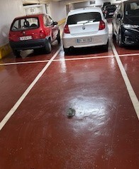 Place de Parking au sous-sol -4
