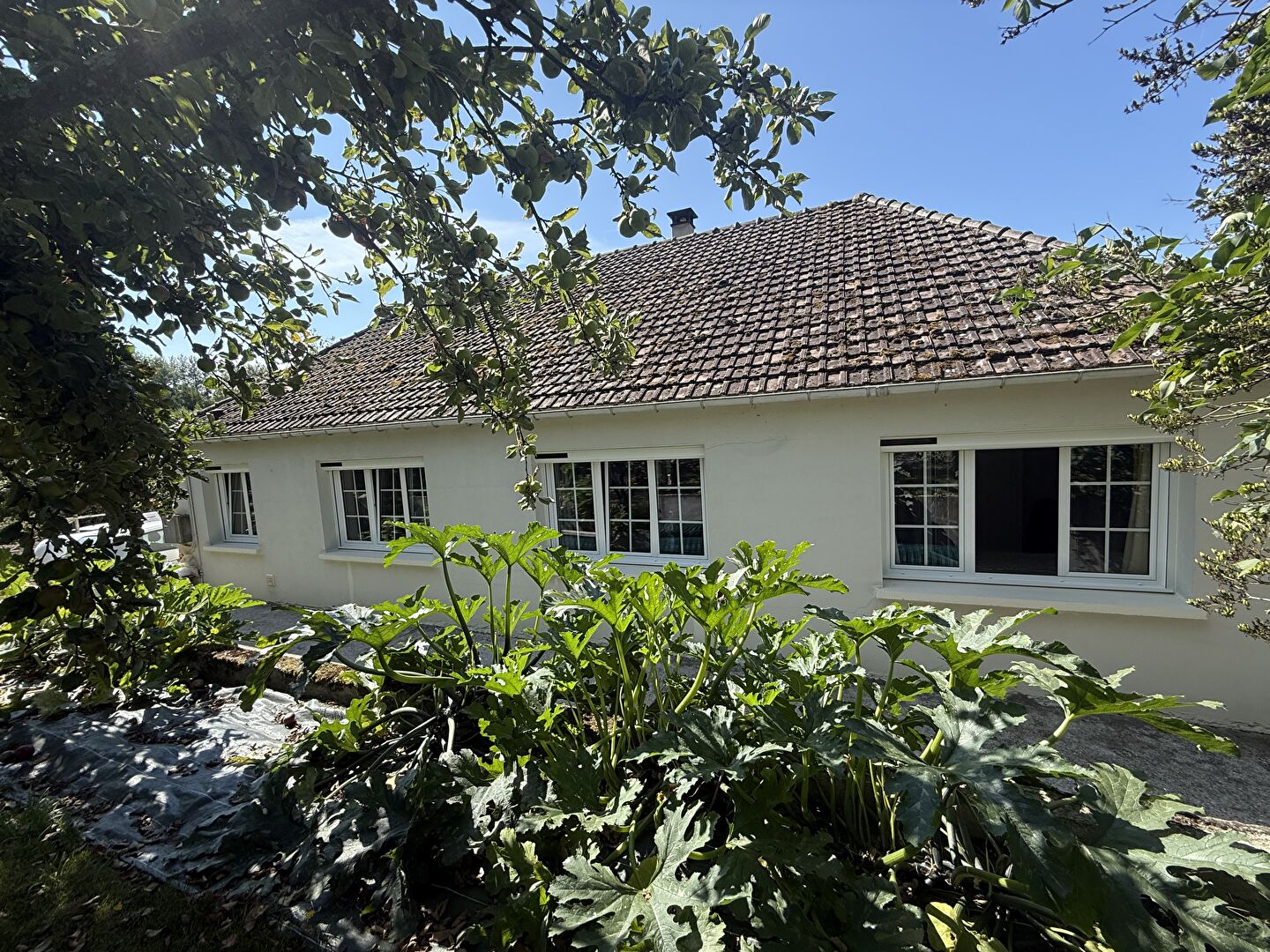 Maison plain pied sur 2 hectares avec dépendances