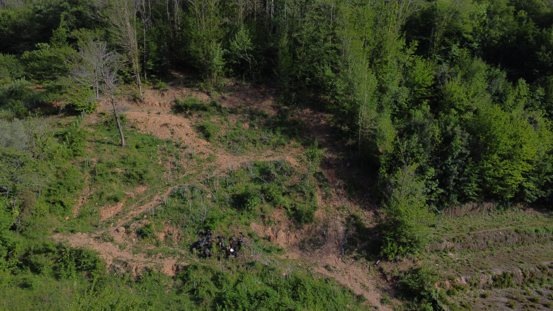 Terrain Commune Pruno / Proche Folelli 1600 m2