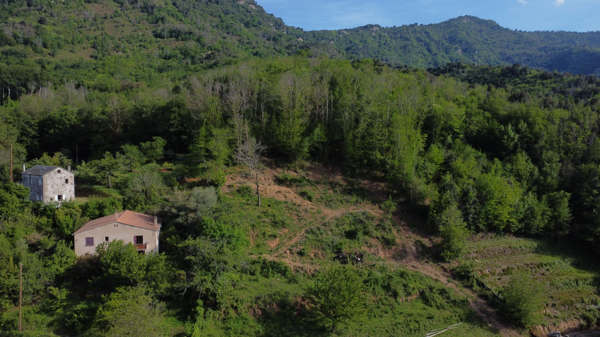 Photo Terrain Commune Pruno / Proche Folelli 1600 m2 image 2/6