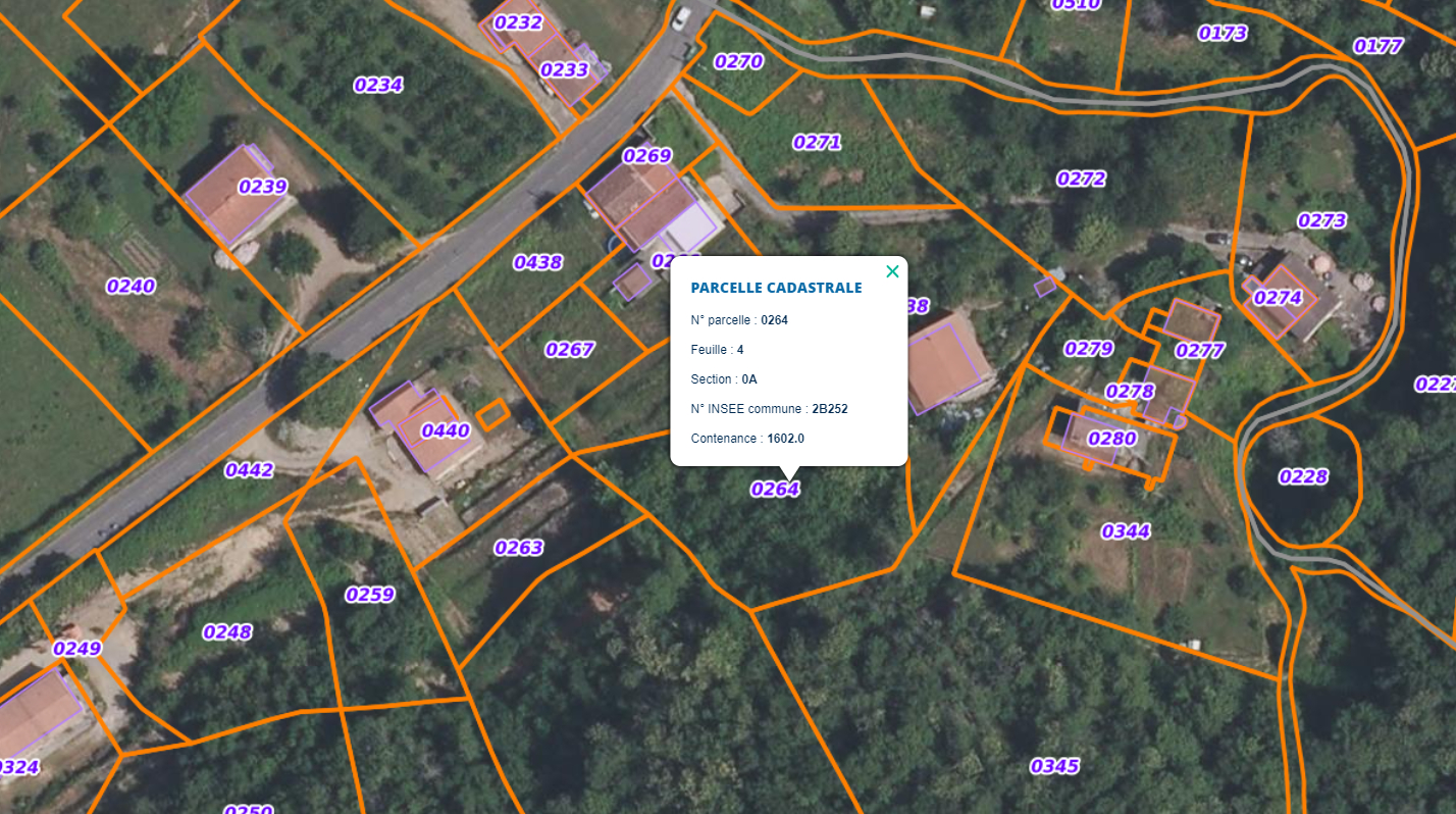 Photo Terrain Commune Pruno / Proche Folelli 1600 m2 image 6/6