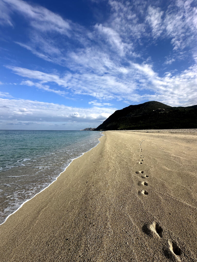 Photo Studio Lozari 1 pièce 17 m2 image 4/6