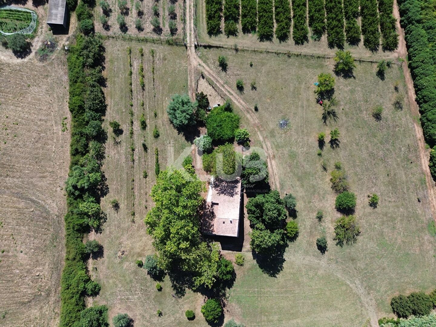 Photo Maison 180m2 avec studio indépendant sur 10 000m2  de terrain agricole image 2/6