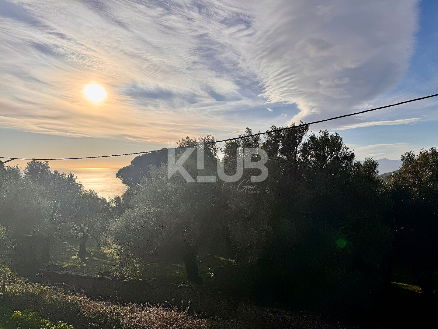 Agence immobilière de Klub Immo Corse