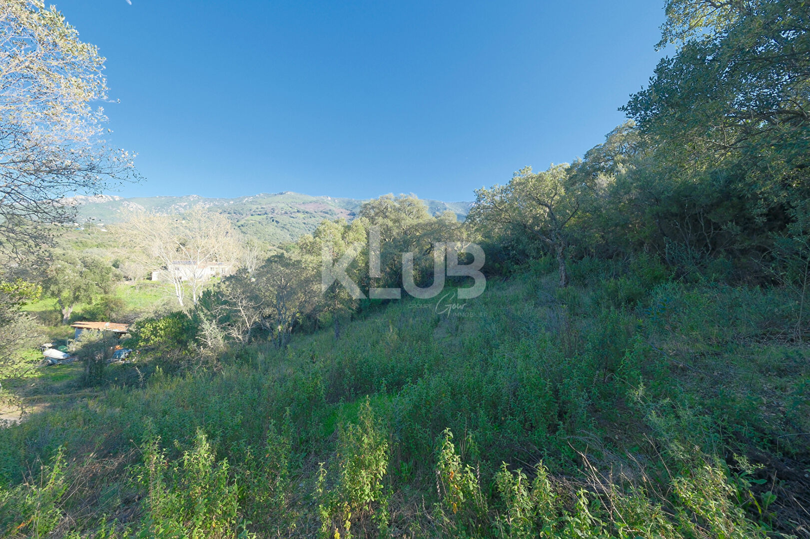 Agence immobilière de Klub Immo Corse