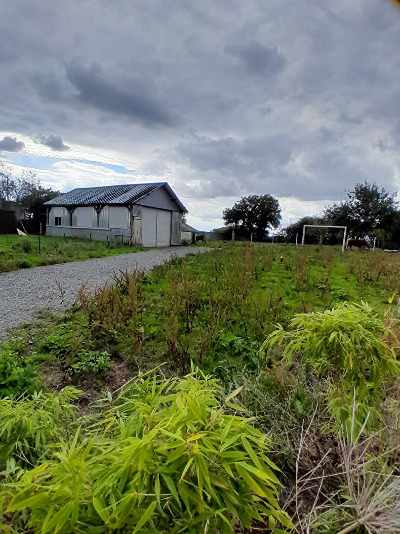 Agence immobilière de SARL Immotys La guerche-de-bretagne