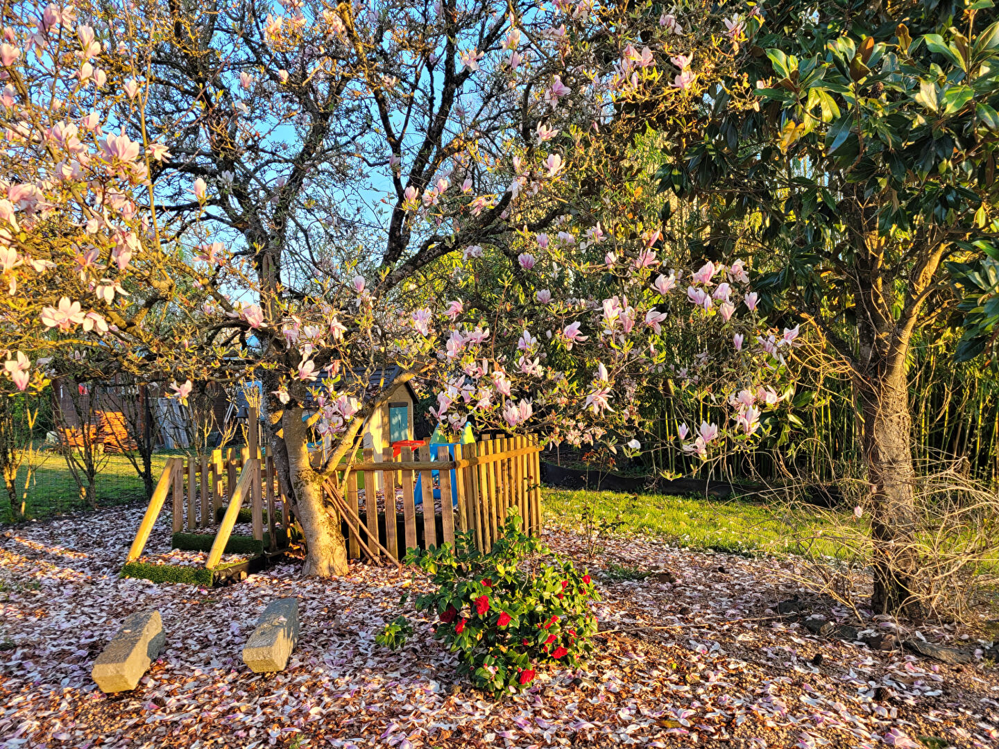 Agence immobilière de IMMOZAP Saint-Pourçain-sur-Sioule