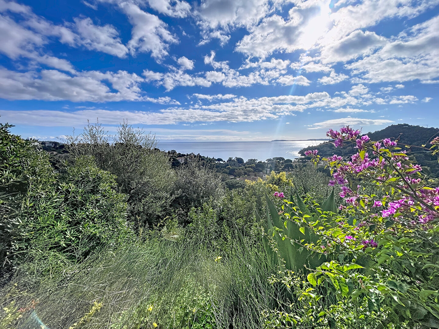 Agence immobilière de IMTO Bormes-les-Mimosas