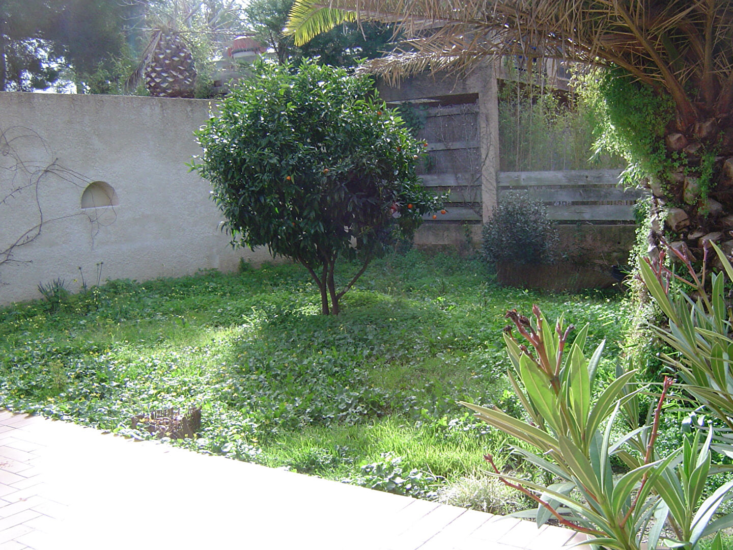 Agence immobilière de IMTO Bormes-les-Mimosas