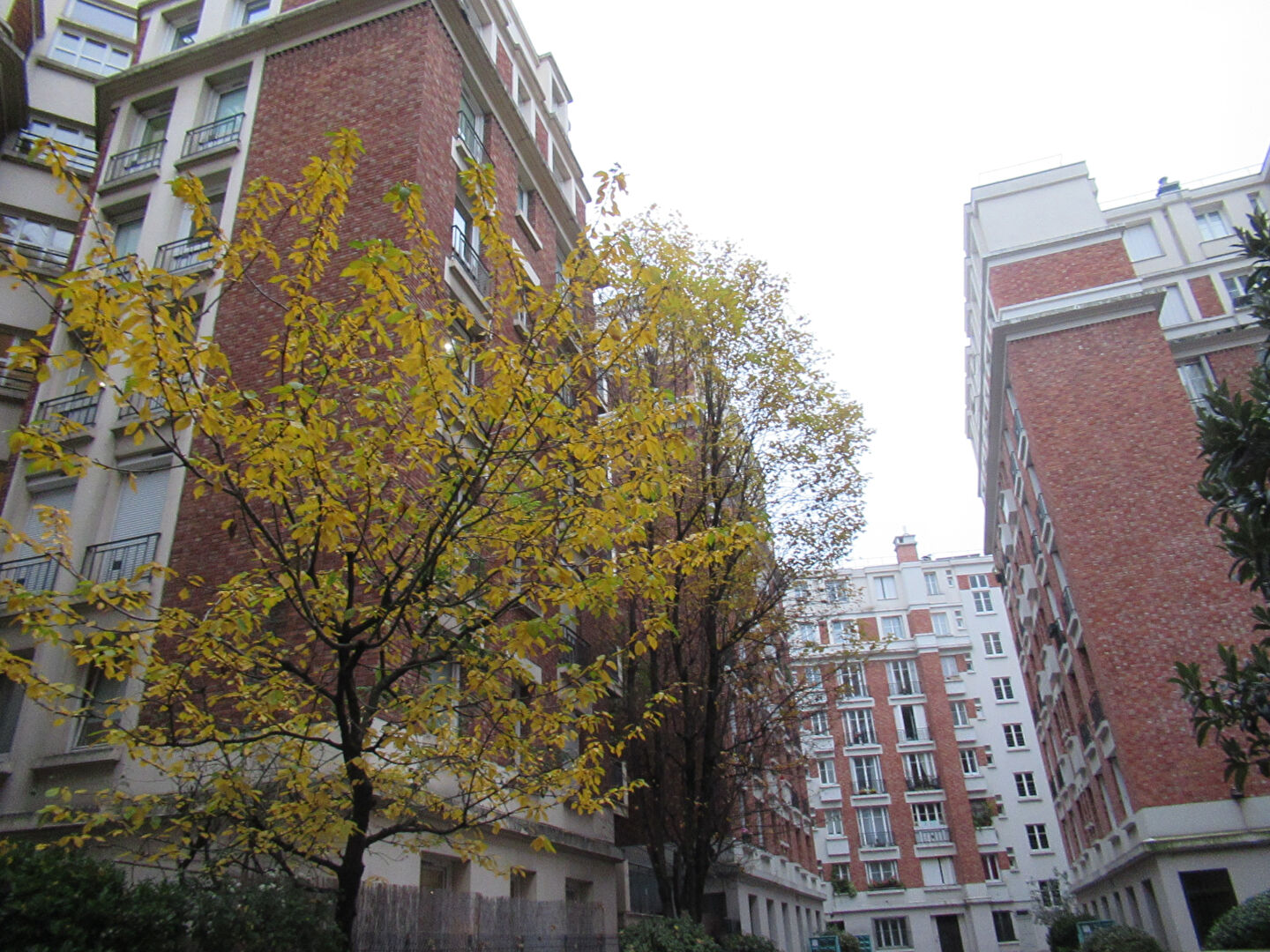 Photo 3/4 pièces  à Paris 13 image 3/5