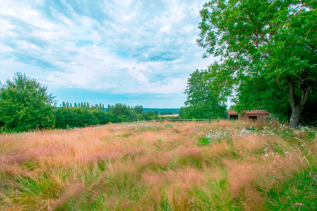 Photo DEMEURE AVEC SPA A VENDRE  SECTEUR RADON image 3/6