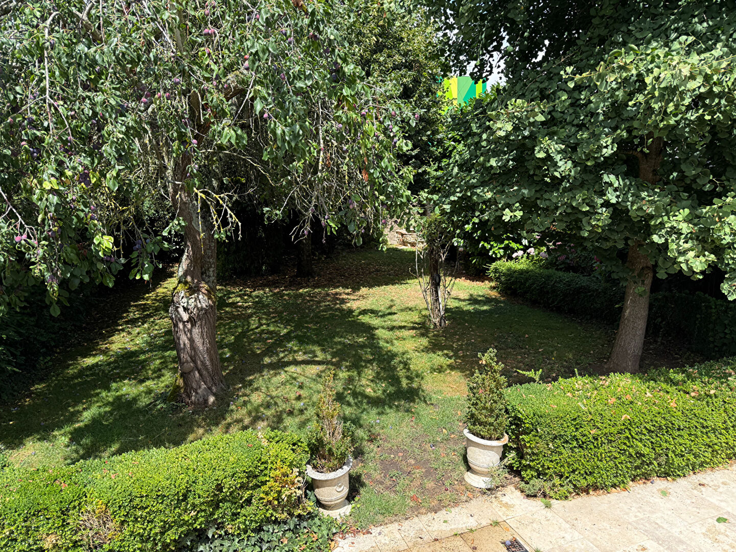 Photo TRES JOLIE MAISON DE CENTRE-VILLE  Alencon 7 pièce(s) 180 m2 image 2/6