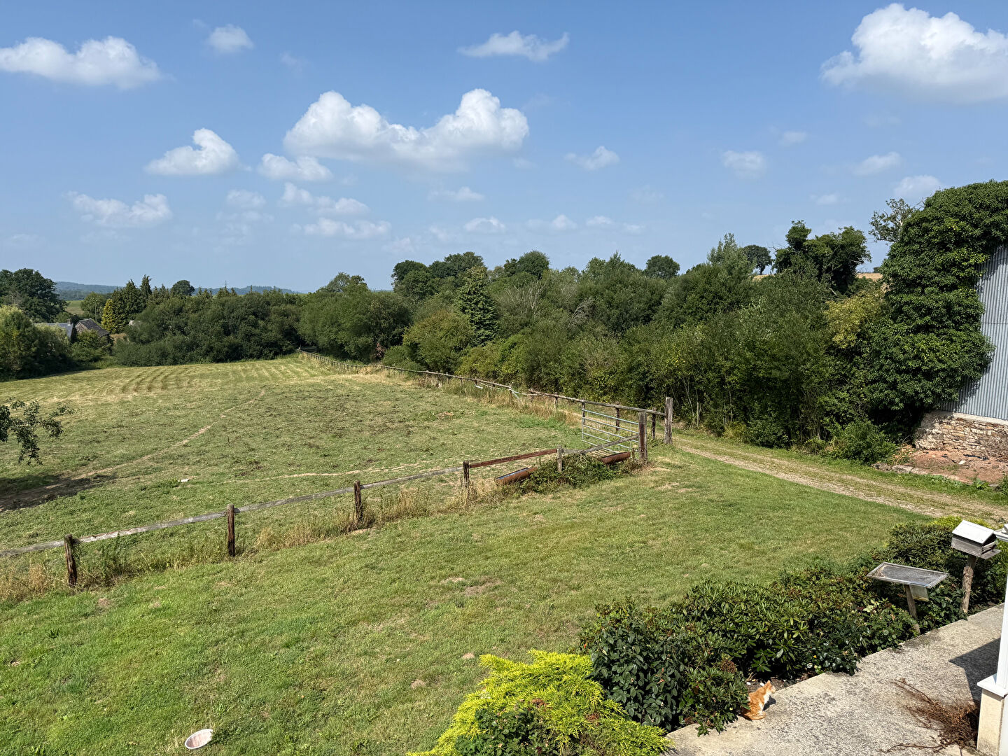 Photo PROPRIETE SUR 13 HECTARES ENV DE PATURE  PROCHE DE LA FORET image 6/6