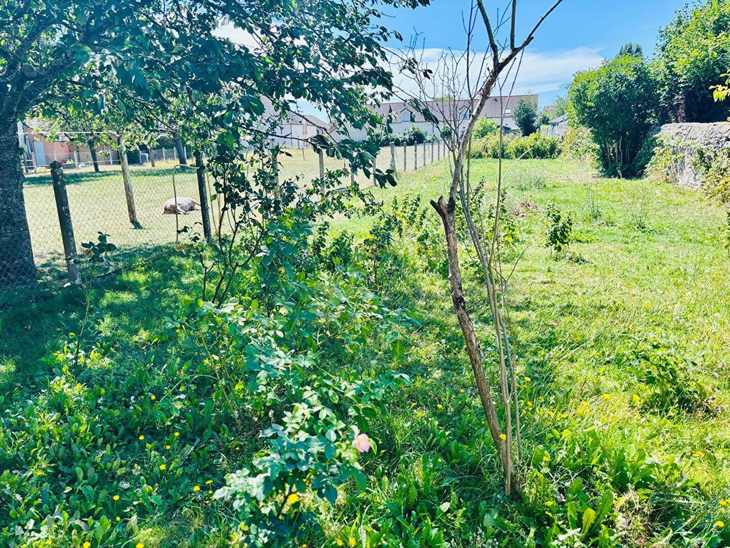 Photo ANCIEN PRESBYTERE  AVEC GRANGE  DÎMIERE- CUA ALENCON image 4/6