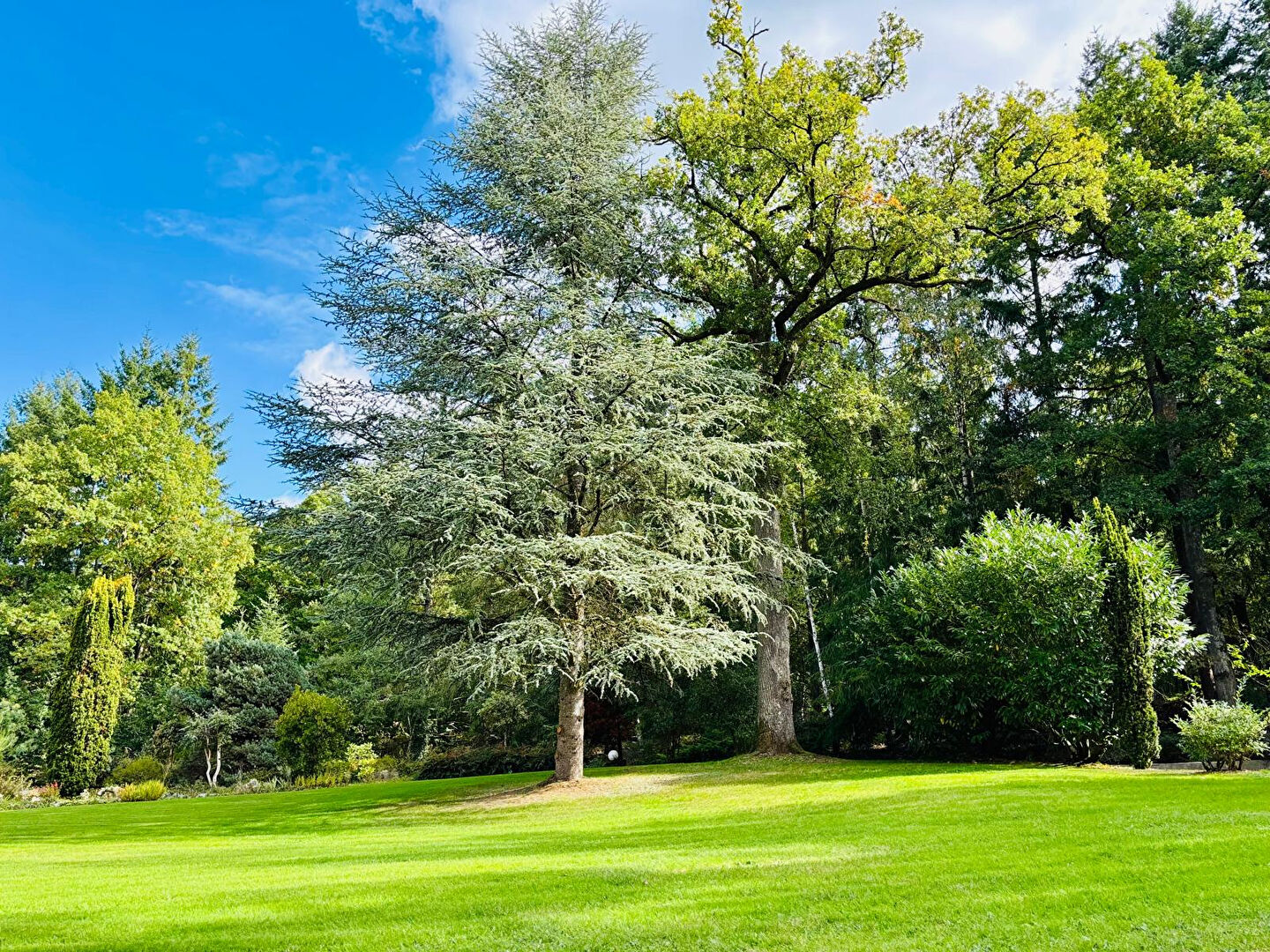 Photo PROPRIETE 7 CHAMBRES PERIPHERIE IMMEDIATE D'ALENCON image 2/6