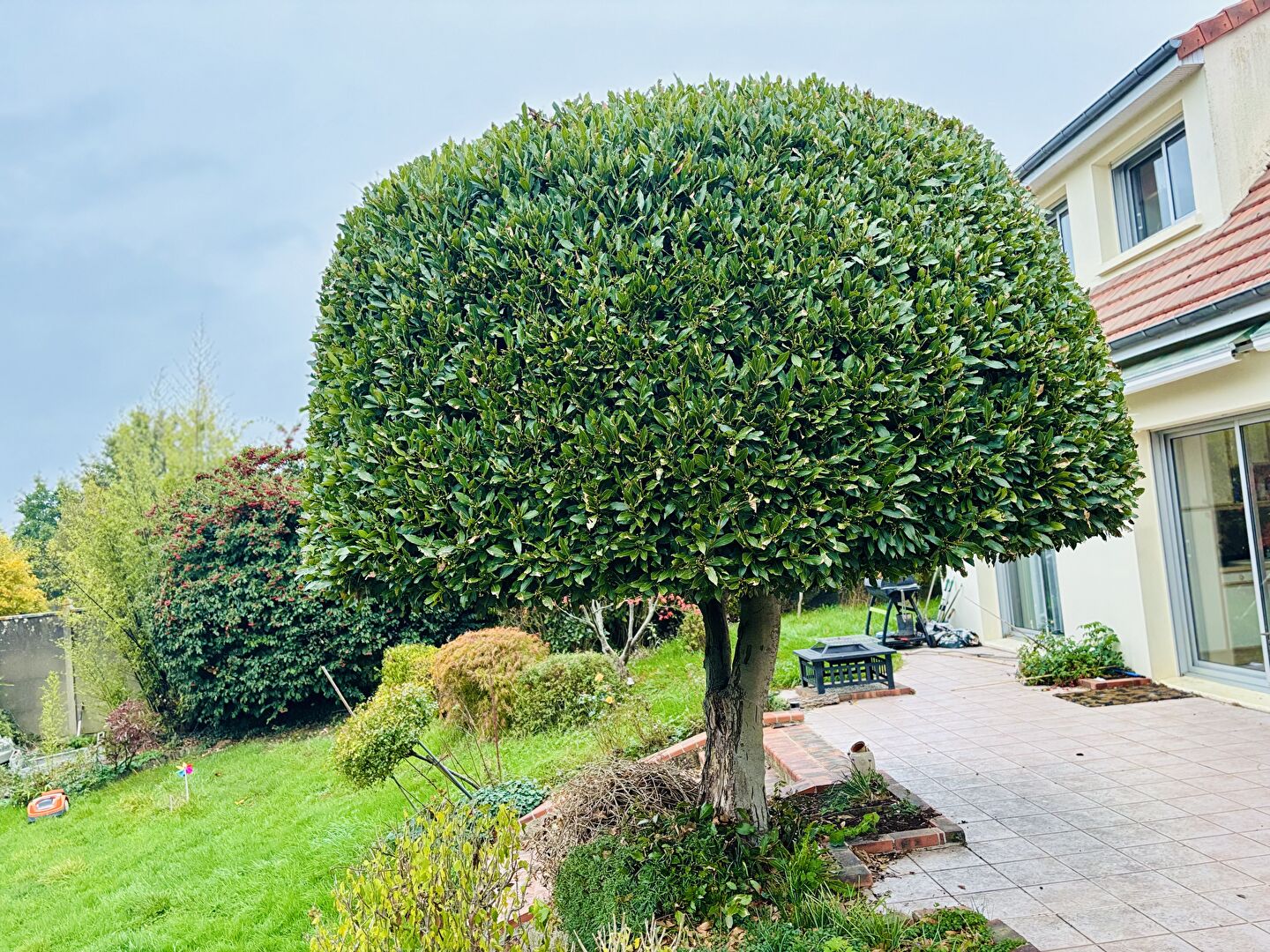 Photo Maison d'architecte au sud d'Alençon image 4/6