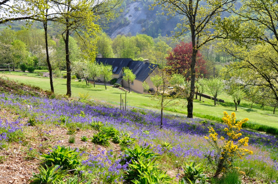 Agence immobilière de KÔTÉ MAISON Alençon