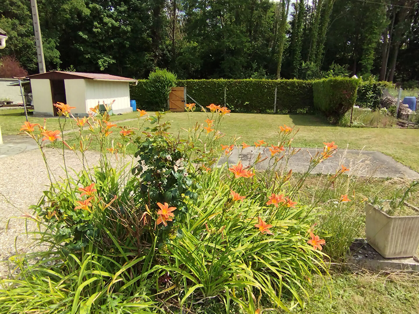 Photo PROCHE GIVERNY image 4/6