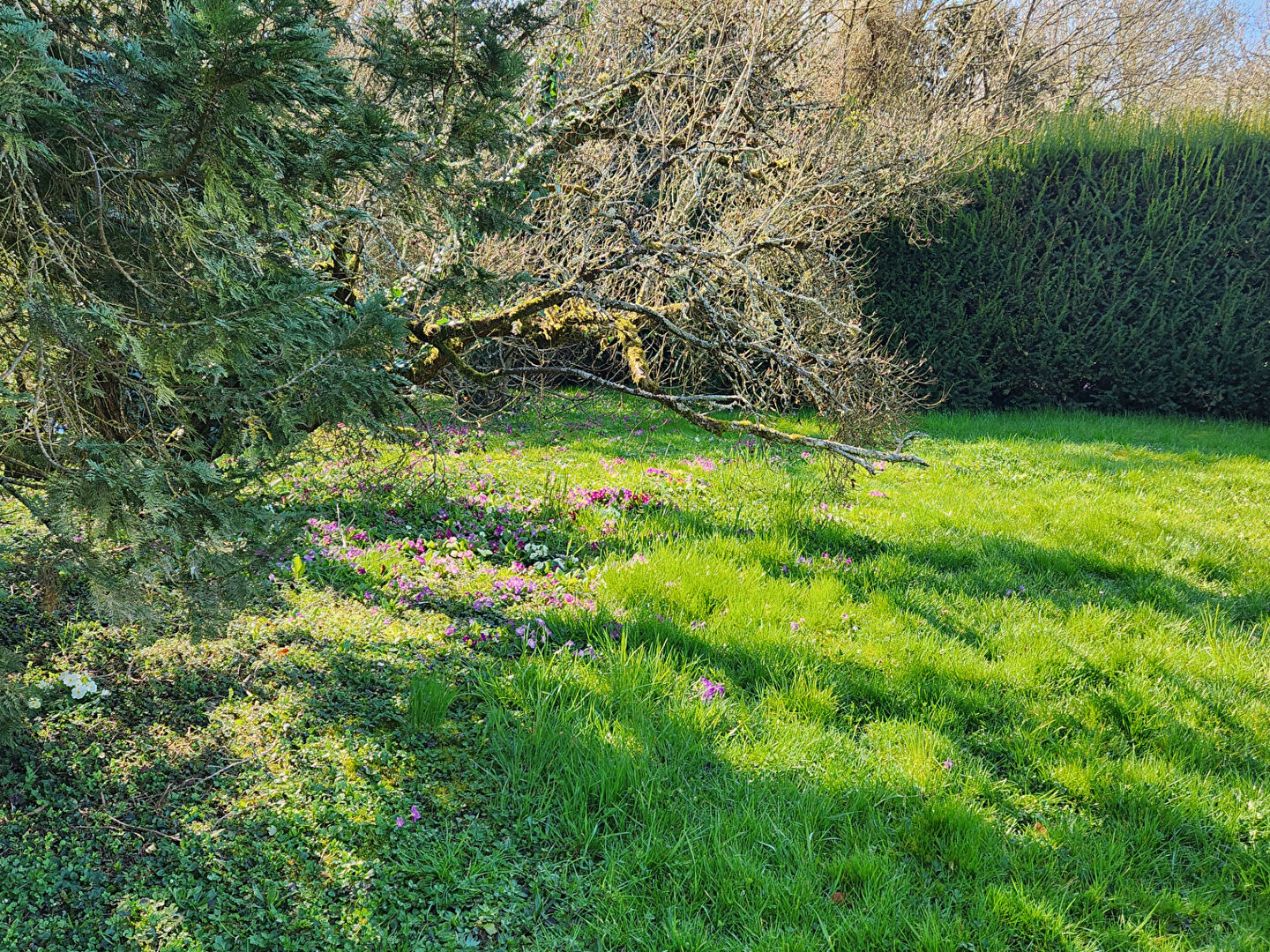 Photo Maison 266 m² 4 chambres terrains 1140m²+Local commercial image 5/6