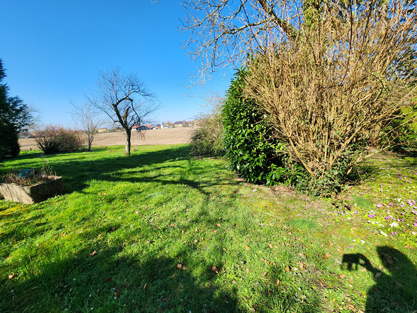 Photo Maison 266 m² 4 chambres terrains 1140m²+Local commercial image 6/6